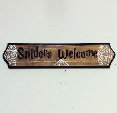 thumbnail of Spider's Welcome sign